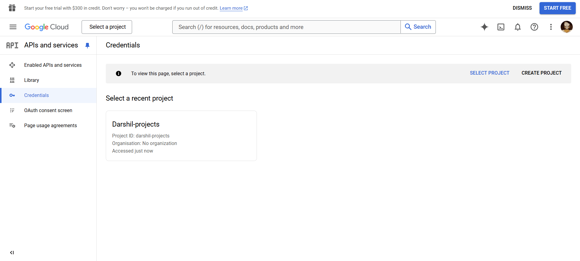 Google OAuth Credentials